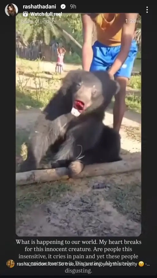 bear brutally beat, bear Chhattisgarh news, Rasha Tandon, bear viral video, chhattisgarh news