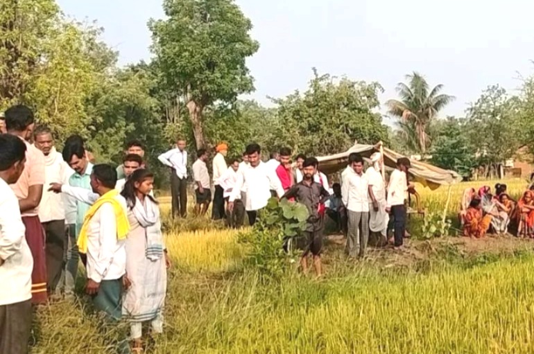 Balaghat tiger attack, Tiger Attack, MP Tiger Attack, Tiger Attack on Farmer, Balaghat News,