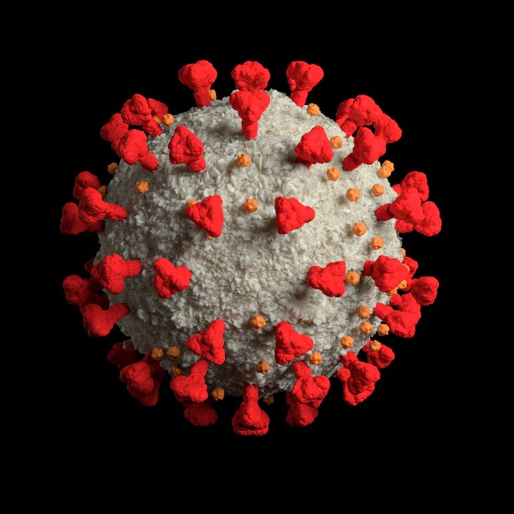 Corona virus, Covid-19, Corona in India, JN.1 variant, NB.1.8.1 variant, Corona in Maharashtra, Covid in Kerala
