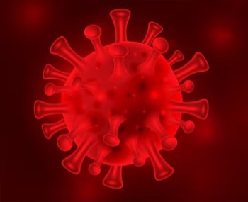 Corona virus, Covid-19, Corona in India, JN.1 variant, NB.1.8.1 variant, Corona in Maharashtra, Covid in Kerala