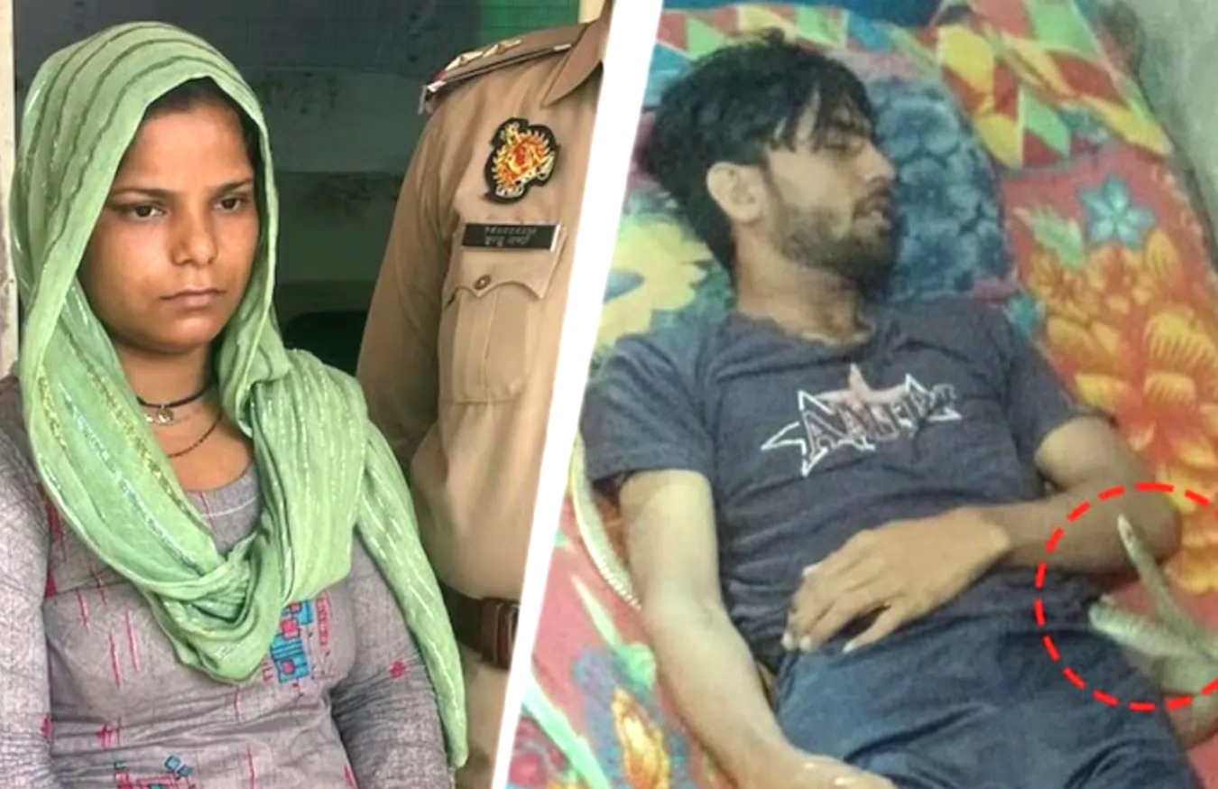 Husband murder, wife murder, Raja Raghuvanshi case, Saurabh murder case, wife killed husband, murderous wife,