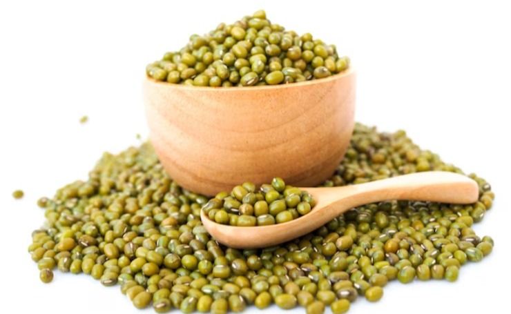 Moong Procurement MSP, 19 June Registration, Moong MSP, Madhya Pradesh Kisan Yojana, Moong Procurement 2024, Farmer Registration, Mohan Yadav, Agriculture Minister, Shivraj Singh Chouhan, MP Kranges, Kisan Sangh, Jitu Patwari, CM Mohan Yadav, Bhopal News, CM, Mohan News What is MSP, Kheti News, Urad procurement MSP