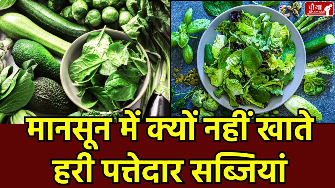 Monsoon tips, don't eat green vegetables in monsoon, disadvantages of green vegetables, what to eat in monsoon, what not to eat in monsoon,