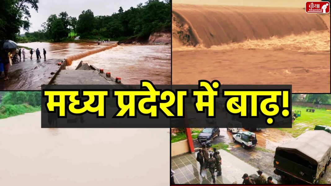 MP Flood Alert Madhya Pradesh Flood, MP Heavy Rain, CM Mohan Yadav, Madhya Pradesh relief work, flood affected districts, Madhya Pradesh, Bhopal waterlogging, Rajgarh building collapse,