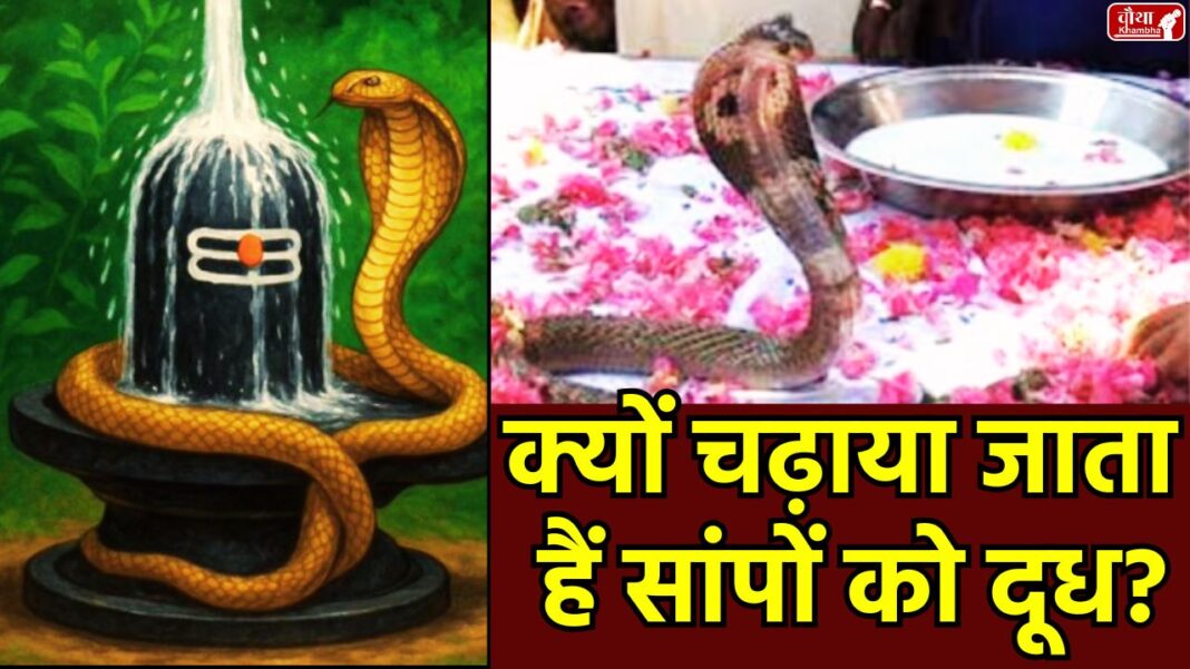 Nag Panchami 2025 Astik Muni, happy nag panchami, Kaliya nag, Kalsarp Dosh, nag panchami, nag panchami 2025, nag panchami katha, nag panchami muhurat, nag panchami puja, nag panchami story,