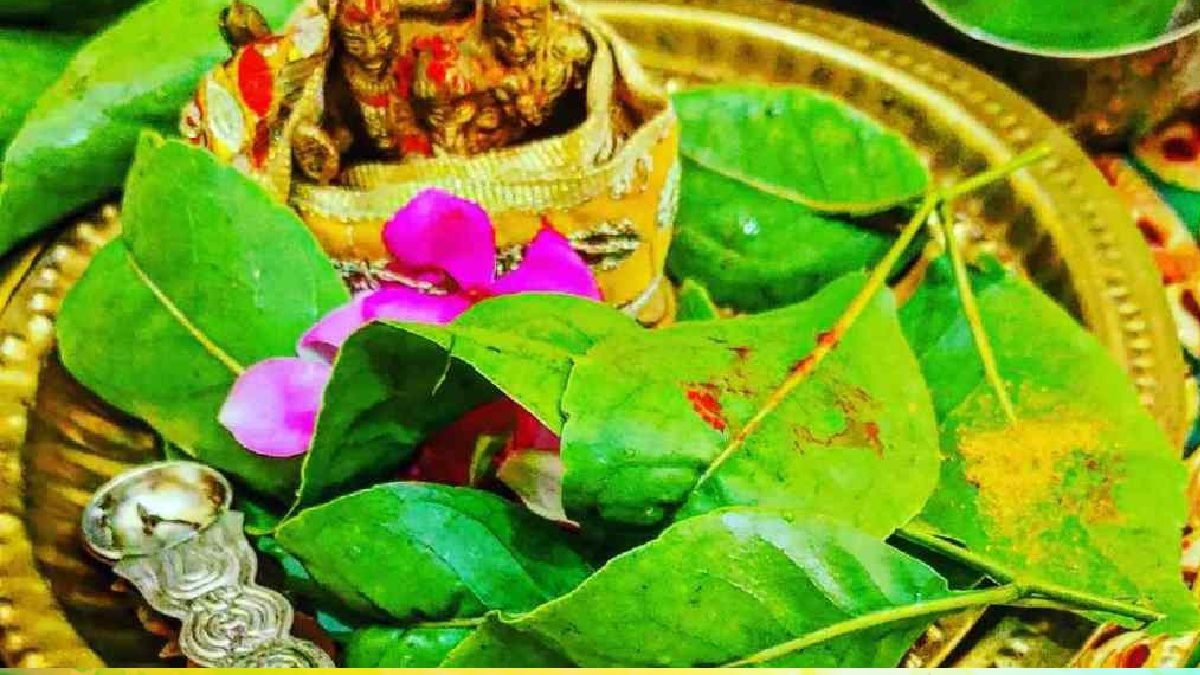 belpatra,Belpatra story, benefits of Belpatra, importance of Belpatra, Lord Shiva, Lord Shiva and Belpatra, Mahashivratri offer Belpatra to Shiva religion news, Sawan 2025 Sawan Somwar. special story,