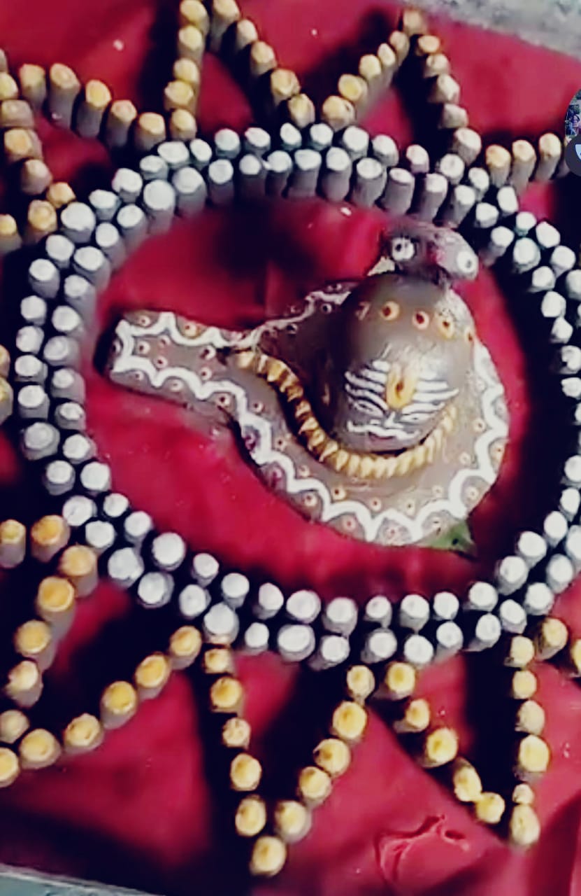 Paarthiv Shivling Puja in Sawan