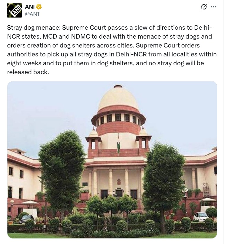 Supreme Court's decision, catching of stray dogs, stray dogs, Supreme Court, Delhi NCR, dog shelter, rabies, street dog, stray dogs, Supreme Court On Stray Dogs
