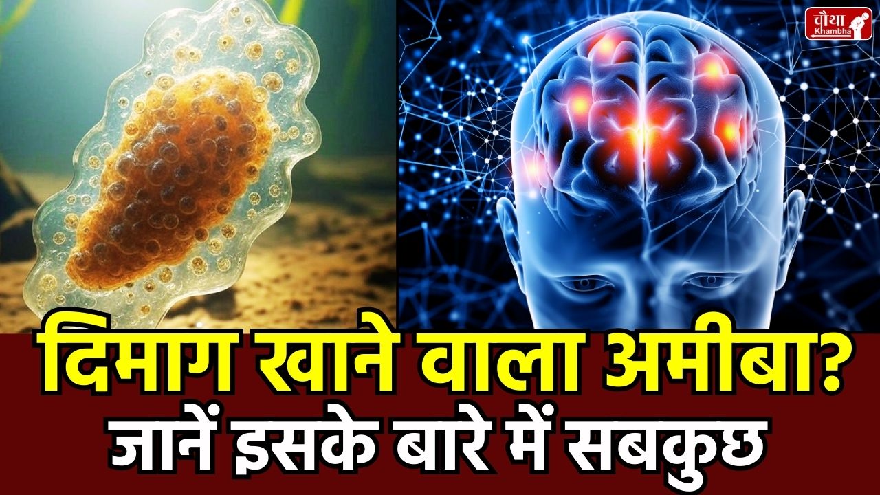 what is brain eating amoeba, brain eating amoeba, naegleria fowleri, amoebic encephalitis, brain eating amoeba, PAM, GAE, brain eating amoeba in kerala, prevention measures, brain eating amoeba symptoms, brain eating amoeba infection,
