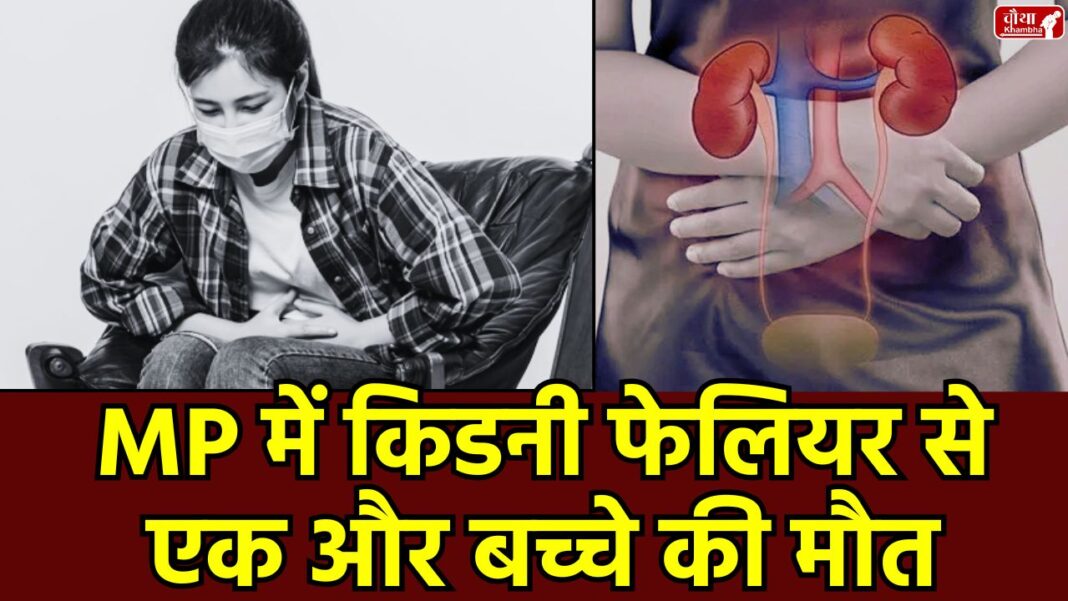 Chhindwara Kidney Failure, Chhindwara, mysterious disease, children's death, kidney failure, unknown disease, ICMR, ICMR team, kidney infection, high fever, urine stoppage, Chhindwara news, Madhya Pradesh, mp news