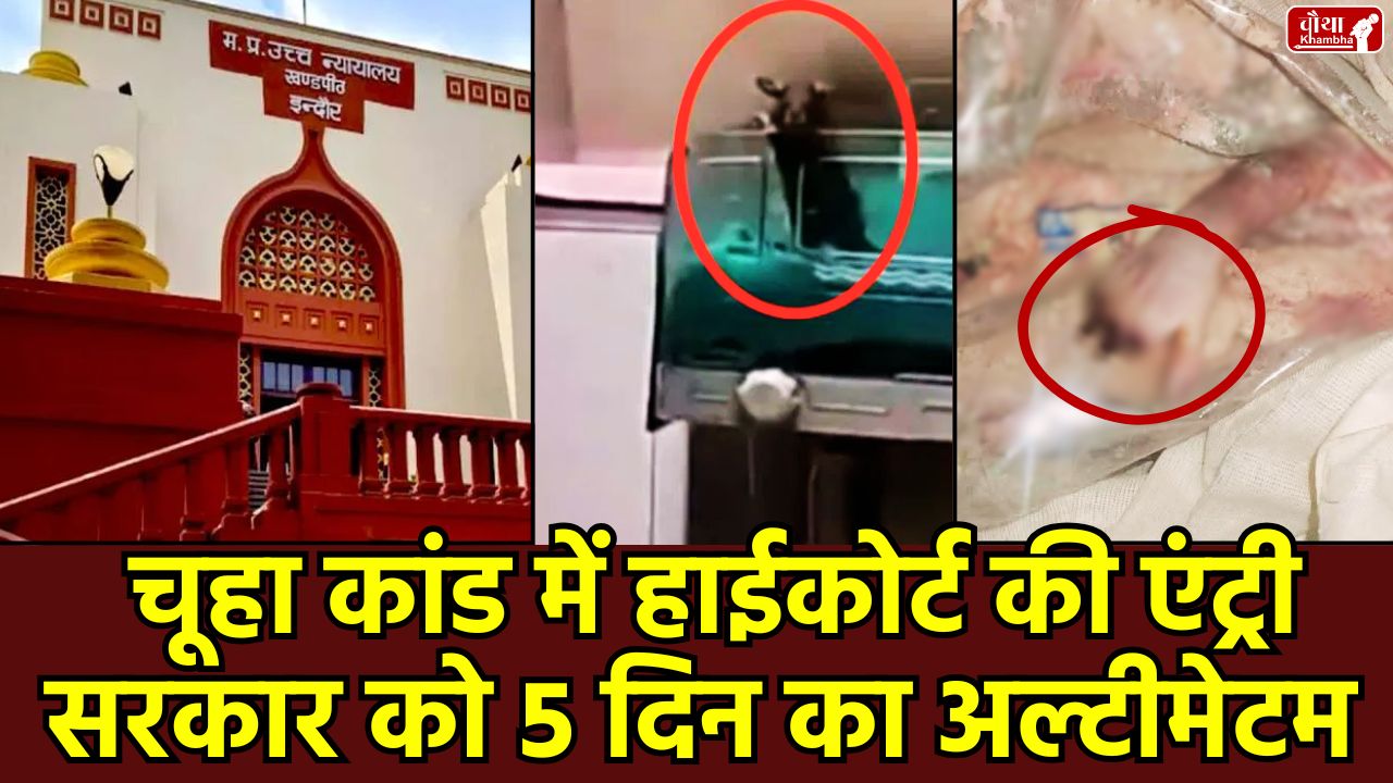 Indore rat case, MYH hospital case, MYH hospital Indore, newborn baby death, MP High Court notice, Agile Security Company, Dr. Ashok Yadav, Dr. Arvind Ghanghoria, Tarun Rathi, government hospital negligence, newborn rights, इंदौर चूहा कांड, एमवायएच हॉस्पिटल, इंदौर, इंदौर हाईकोर्ट, हाईकोर्ट स्वत संज्ञान, government hospital, mp government, newborn death, rat bite newborn, MYH hospital