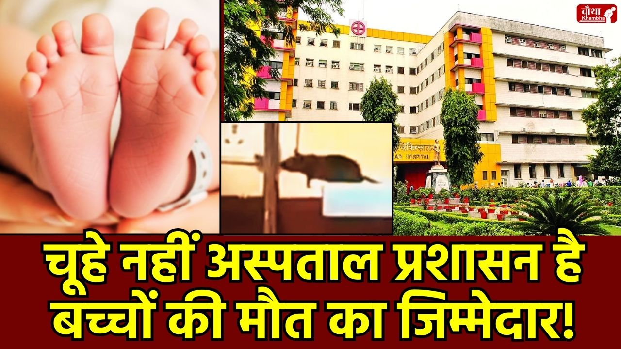 MY Hospital, MY Hospital case, MY Hospital rats, Newborn death, baby death after rat bite, Indore MY Hospital, Death of newborn baby, Child bitten by rats, NICU negligence, MYH Indore rat incident, Human Rights Commission investigation, High level committee, Indore news,