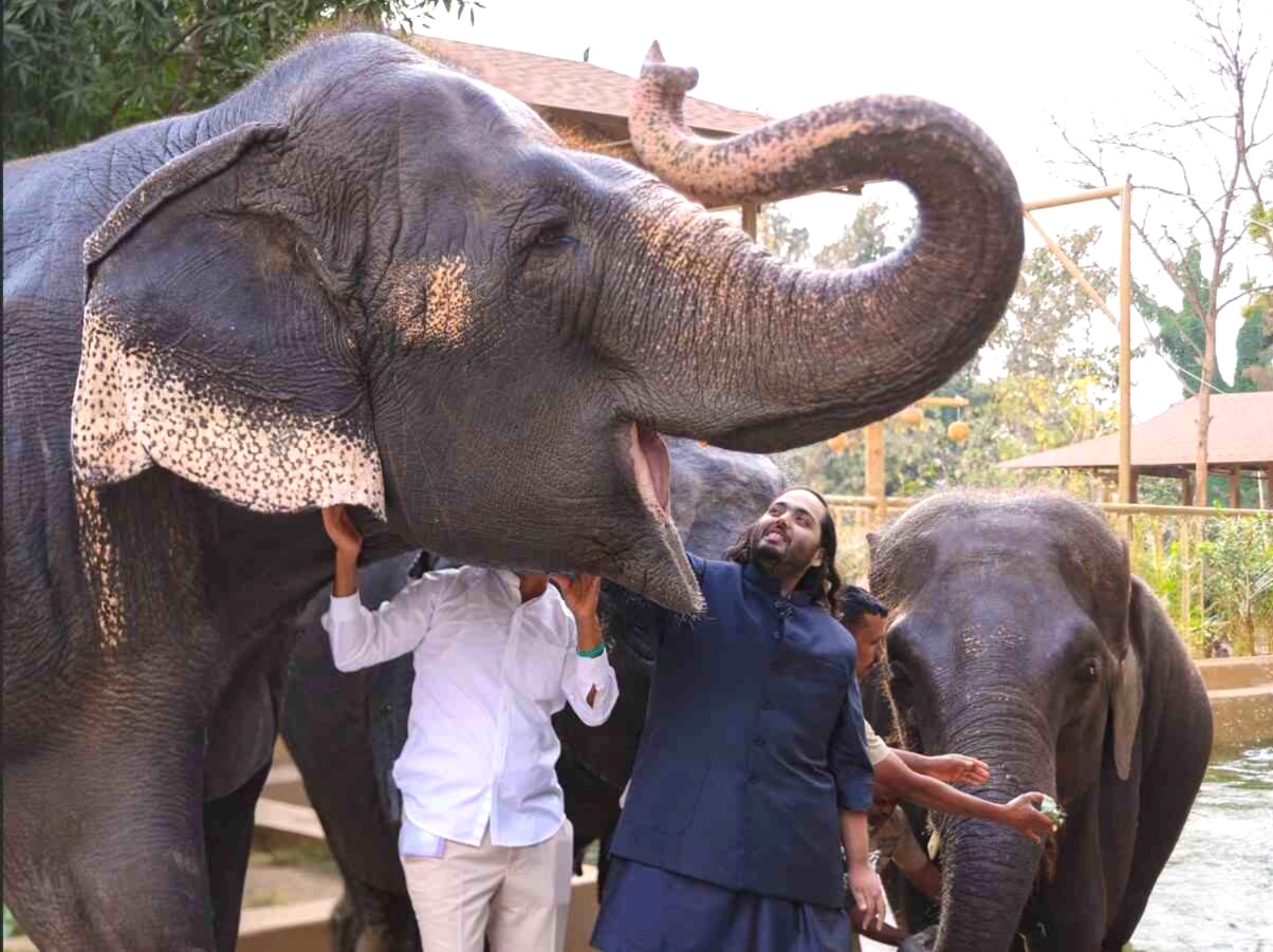 Vantara Clean Chit, Vantara Wildlife Centre, Supreme Court, Reliance Foundation, elephant Madhuri, Vantara Jain monastery Kolhapur, SIT investigation report, Wildlife Protection Act, PETA, buying and selling of animals, Supreme Court verdict, Vantara controversy, Jain community protest.