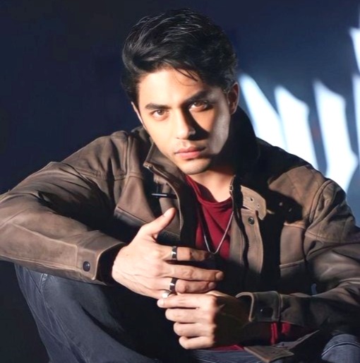 Sameer Wankhede, Shah Rukh Khan, Aryan Khan, The Bads of Bollywood, defamation case, Red Chillies Entertainment, Netflix, cruise drug case, Delhi High Court, Bollywood news