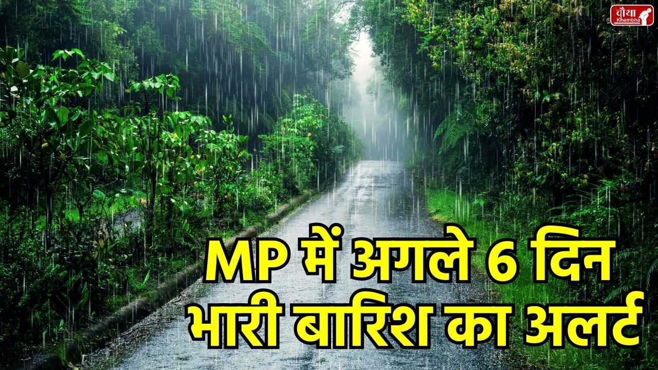 MP Weather Update, Madhya Pradesh, Weather News, Rain in MP, Yellow Alert in MP, Heavy Rain in MP, Yellow Alert, Dashahara Weather Update, Harm to farmers, MP Temperature Today, Bhopal Weather, Indore Weather, MP Weather Forecast, Madhya Pradesh Weather, MP Rain,