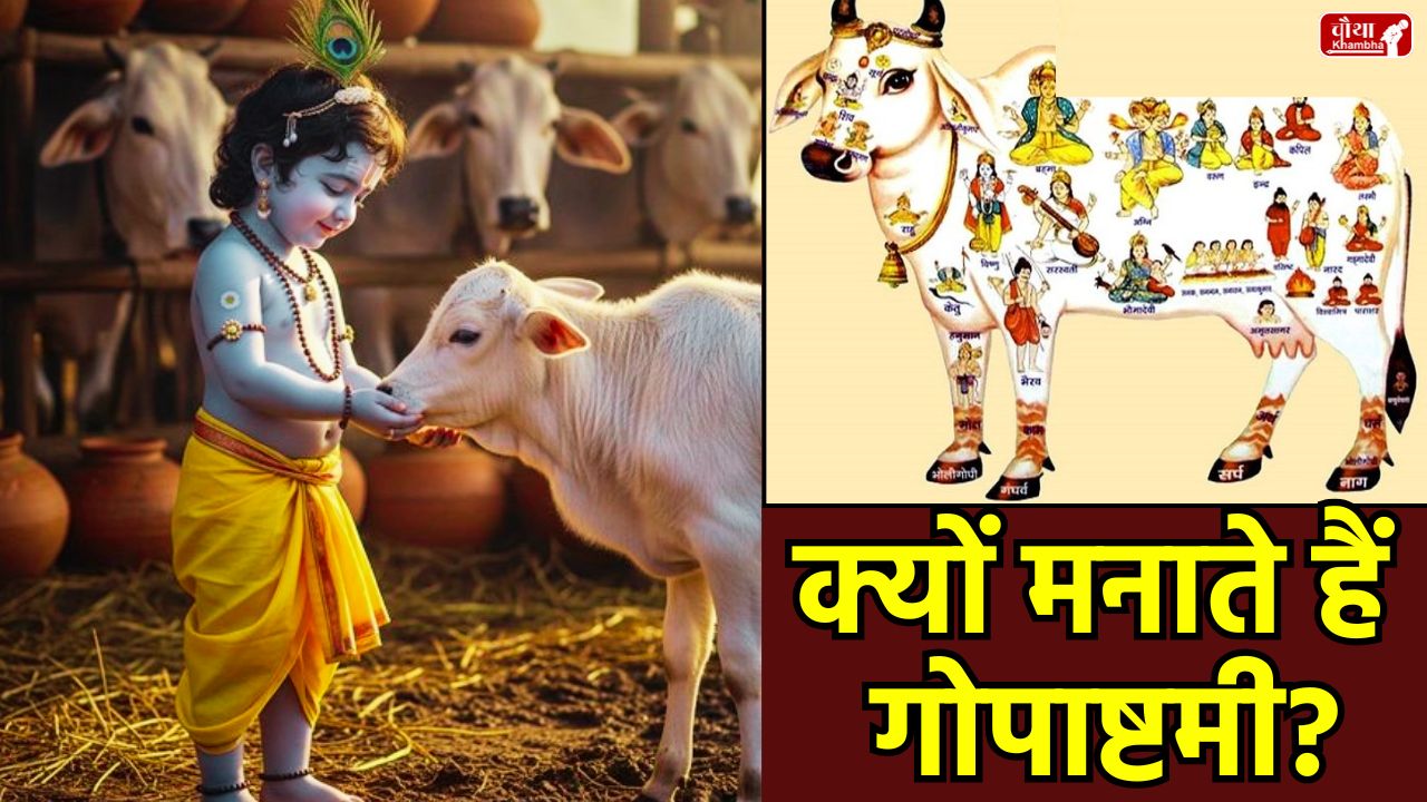 Gopashtami 2025, Gopashtami Puja Vidhi, Gopashtami Shubh Muhurat, what to feed the cow, cow worship, Kartik Shukla Ashtami, Gopashtami Date 2025, importance of cow, Religion News, Special Story, Shri Krishna, why celebrate Gopashtami, Gopashtami Katha, Gopashtami importance, cow worship