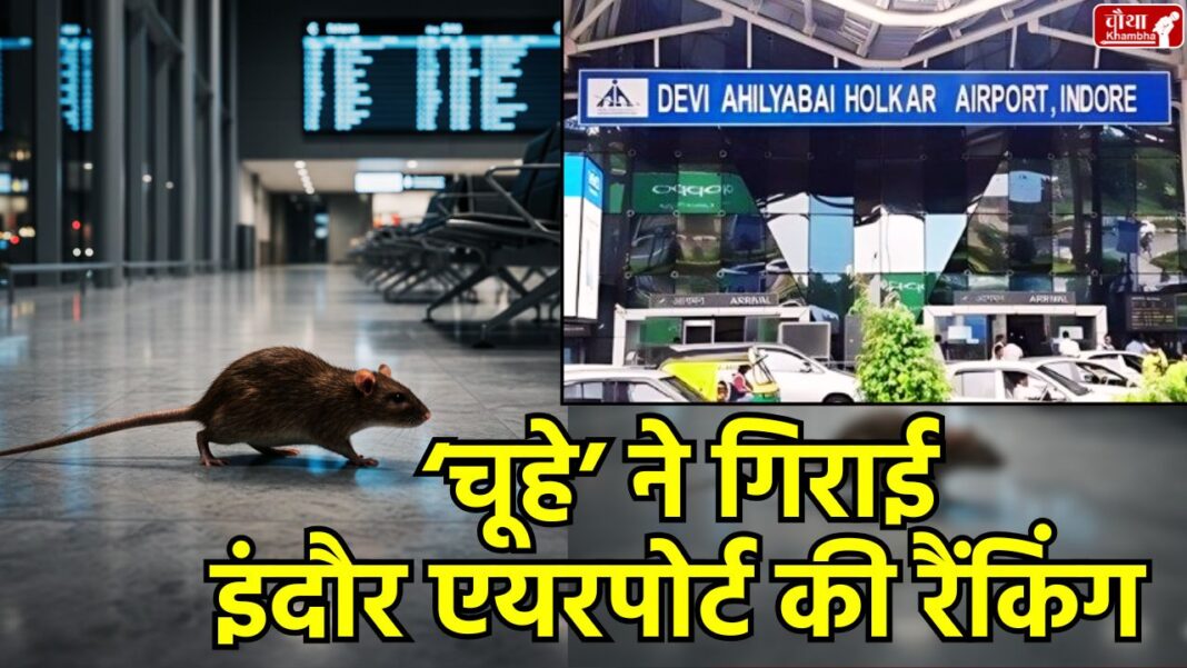 Indore Airport, Indore, Indore Airport Ranking, ASQ Survey 2025, Indore Rat Scandal, Airport Rat Scandal, Devi Ahilyabai Holkar Airport, Airport Service Quality, Best Airports in India, Pune Airport No. 1, Airport Cleanliness Ranking, MP news