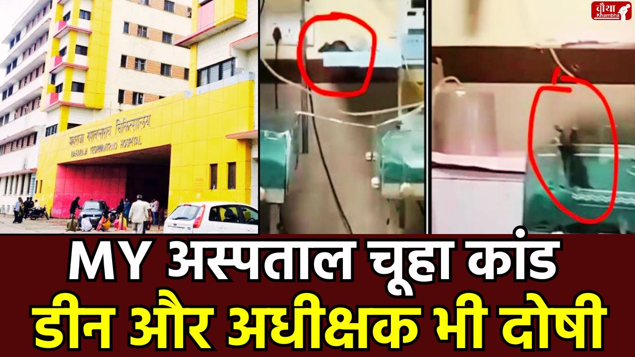 Indore MY Hospital, MY Hospital rat scandal, Indore, MY Hospital, Dean guilty, Superintendent guilty, death of newborn baby, pest control company, rat bite case, High Court report, investigation committee, Dr. Arvind Ghanghoria, Dr. Ashok Yadav
