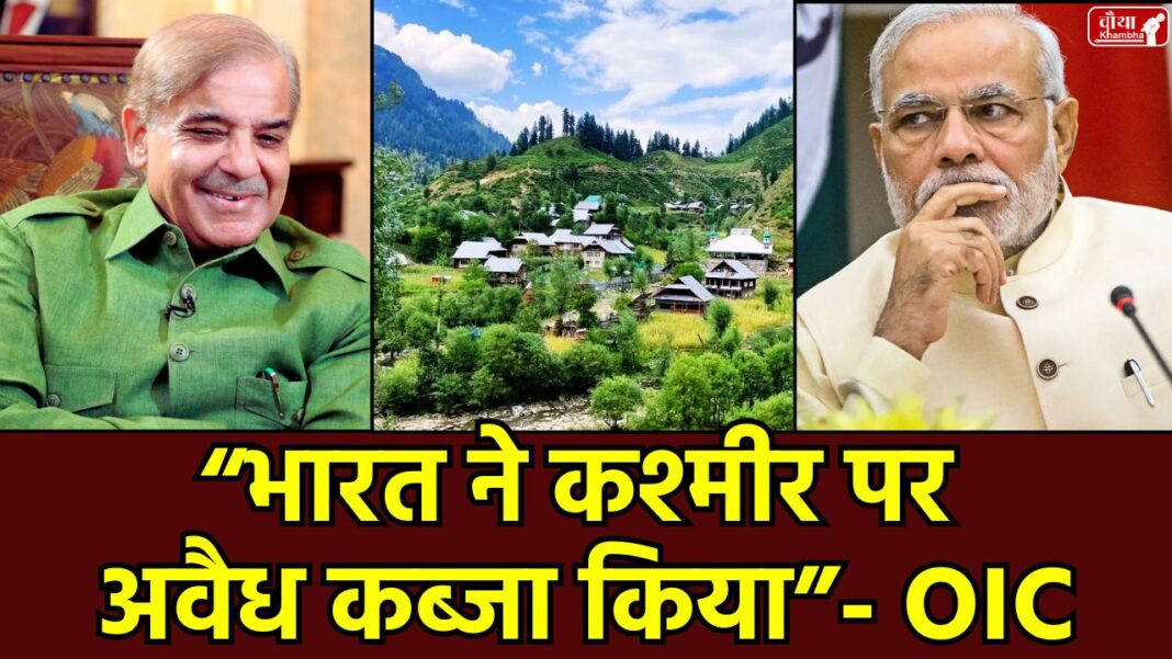 OIC Kashmir Statement OIC, what is OIC, OIC Kashmir statement, India illegally occupied Kashmir, Shahbaz Sharif, Kashmir, Kashmir Black Day 2025, OIC double standards, Jammu Kashmir, UN resolution, Pakistan Kashmir propaganda, India Pak tension, Kashmir right, PoK protests