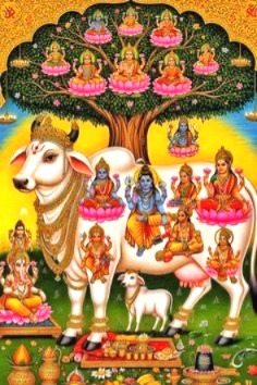 Gopashtami 2025, Gopashtami Puja Vidhi, Gopashtami Shubh Muhurat, what to feed the cow, cow worship, Kartik Shukla Ashtami, Gopashtami Date 2025, importance of cow, Religion News, Special Story, Shri Krishna, why celebrate Gopashtami, Gopashtami Katha, Gopashtami importance, cow worship