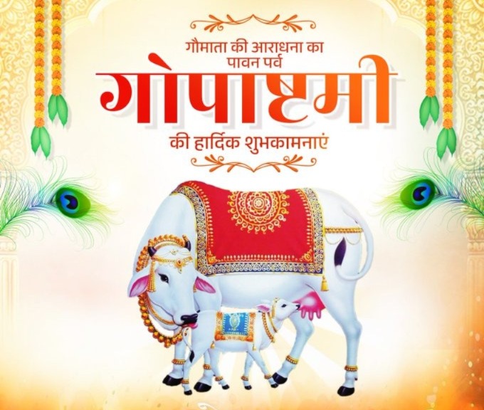 Gopashtami 2025, Gopashtami Puja Vidhi, Gopashtami Shubh Muhurat, what to feed the cow, cow worship, Kartik Shukla Ashtami, Gopashtami Date 2025, importance of cow, Religion News, Special Story, Shri Krishna, why celebrate Gopashtami, Gopashtami Katha, Gopashtami importance, cow worship