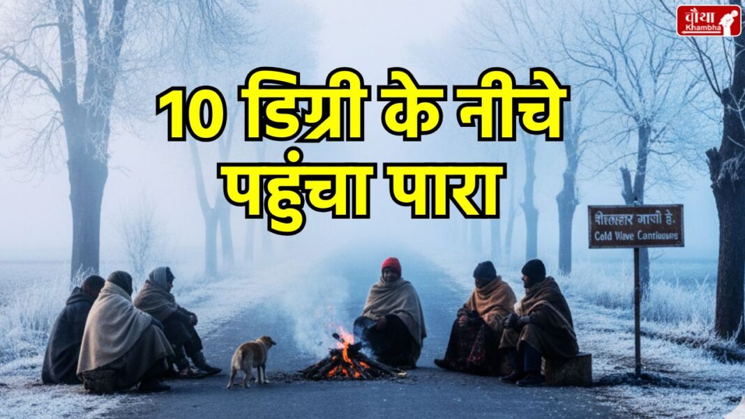 MP weather update, Madhya Pradesh, cold wave, Bhopal temperature, Indore cold, MP winter news, Shahdol temperature, Shivpuri cold weather, Rajgarh temperature, Pachmarhi weather, MP snowfall news, cold wave, cold wave alert, weather update