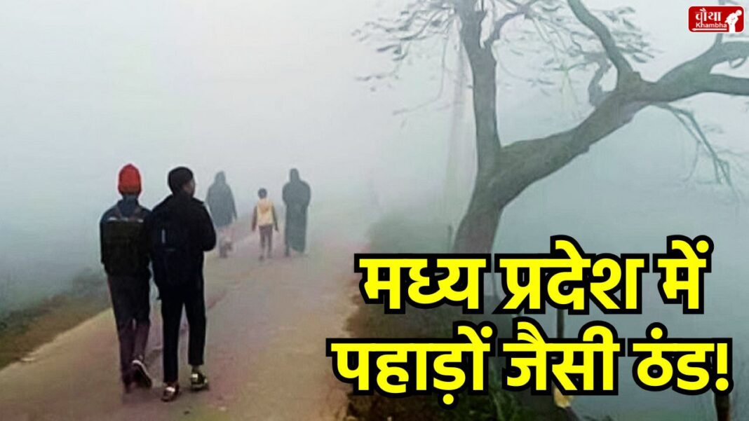 MP weather, Madhya Pradesh cold, Bhopal temperature, Indore mercury, cold wave alert, cold wave MP, Bhopal like Shimla, Indore colder than Mussoorie, western disturbance, MP weather update, cold in November, MP cold wave alert.