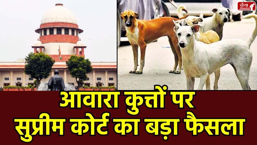 Supreme Court order, order on stray dogs, Stray dogs ban, Stray dog ​​sterilization, Stray dog shelter home, Rajasthan High Court, Dog biting cases, Supreme Court directive on stray animals, Hospital campus, Rabies death,