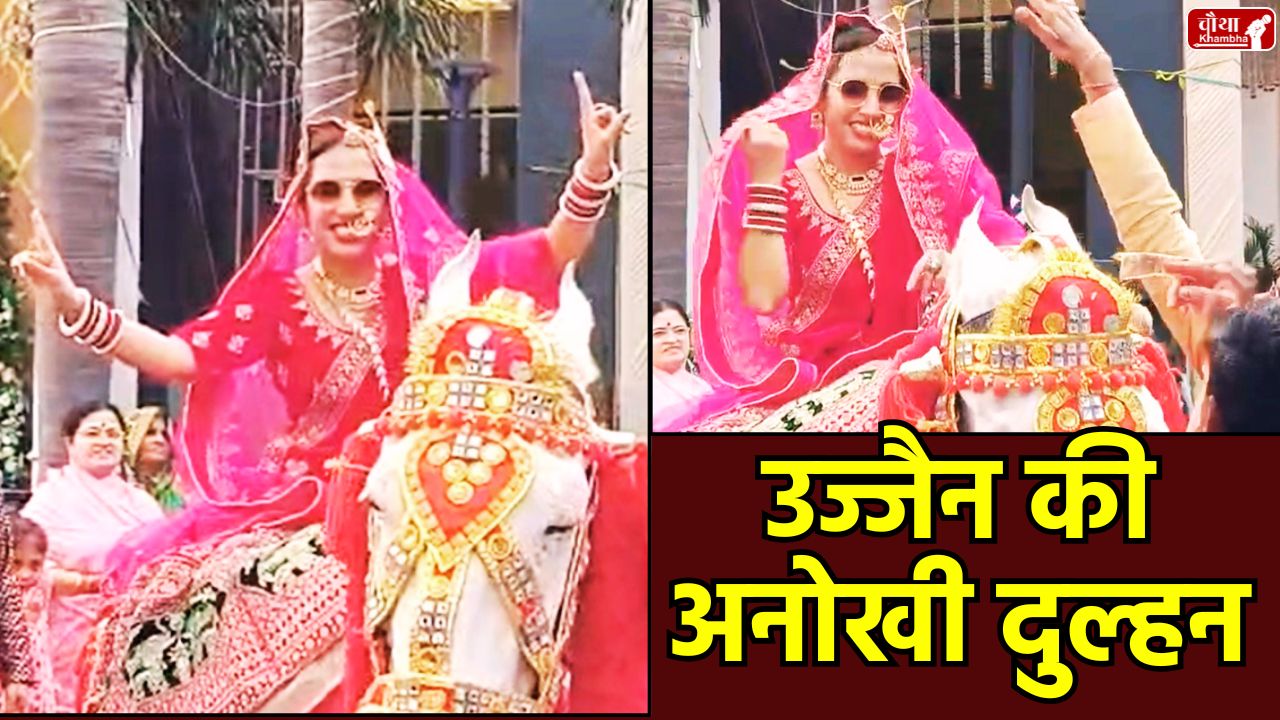 Ujjain Unique Bride, Ujjain Bride, Ujjain Bride video, Bride riding a mare, Ujjain unique wedding, Shrimali community, wedding tradition, gender equality wedding ceremony, bride invites groom, Apurva Ojha and Harsh Dave wedding, women empowerment wedding, Rajasthani wedding customs, Madhya Pradesh, MP News,