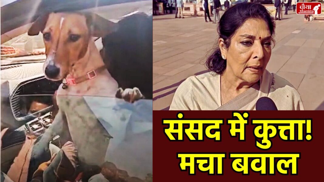 Renuka Chowdhury dog, Renuka Chowdhury, dog in Parliament, Parliament controversy, Parliament winter session 2025, Congress BJP controversy, Parliament rules, pets in Parliament, political symbolism, Parliament security protocol, Renuka Chowdhury statement, Telangana Rajya Sabha MP