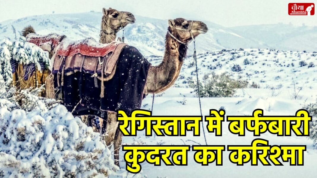 Saudi Arabia snowfall, climate change, snow in the desert, Saudi Arabia weather, Jabal Al Lawz, Gulf countries weather changes, UAE floods, global warming, Middle East weather, unusual weather event