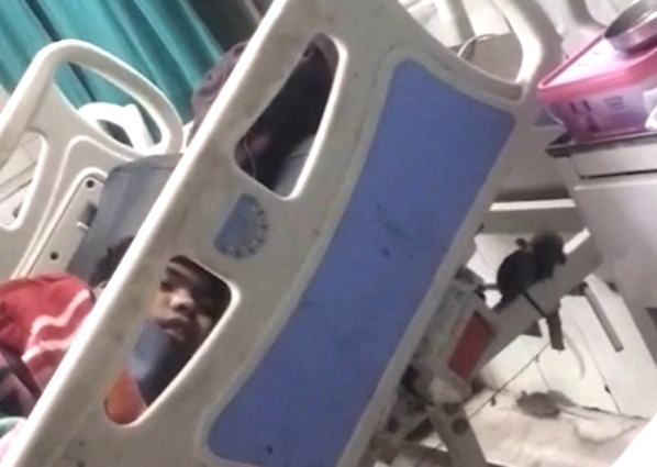 Jabalpur District Hospital, rat infestation, Victoria Hospital Elgin, rats in the orthopedic ward, Civil Surgeon's statement, Madhya Pradesh hospital hygiene, patient safety, Naveen Kothari, Jabalpur Medical College rats, rats in the hospital, MP Hospital Rat Menace