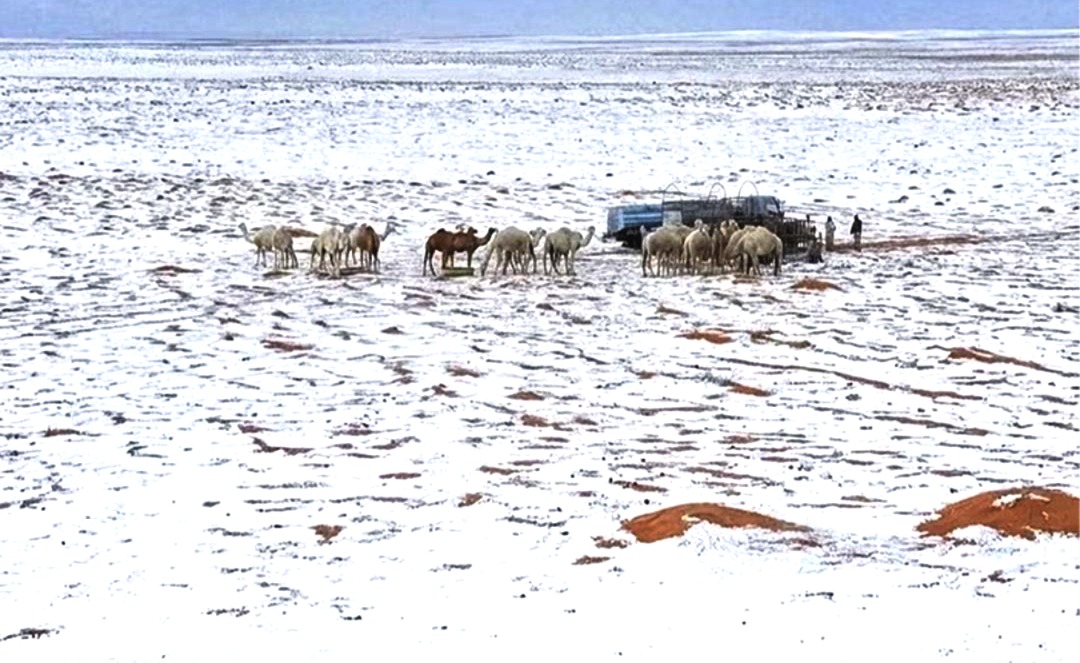 Saudi Arabia snowfall, climate change, snow in the desert, Saudi Arabia weather, Jabal Al Lawz, Gulf countries weather changes, UAE floods, global warming, Middle East weather, unusual weather event