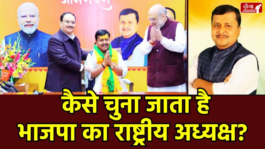 BJP National President, who is Nitin Nabin, delhi, Nitin Nabin, BJP President, BJP National President Election, Nitin Nabin BJP President, BJP president election process, Nitin Nabin's political journey, BJP Electoral College, amit shah, pm modi, jp nadda