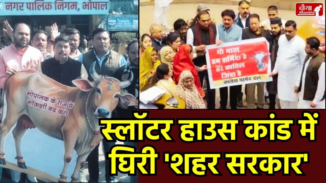 Bhopal Slaughter House case, Bhopal Municipal Corporation, Beef Row, Mayor Malti Rai Resignation Demand, Jinsi Slaughter House, Bhopal, Aslam Qureshi, Bhopal News, Veterinary Doctor Suspended, Madhya Pradesh, Cow Slaughter Protest,