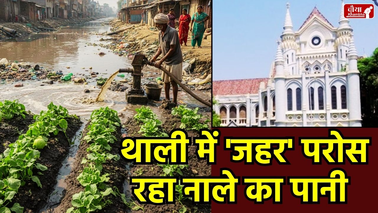 Jabalpur sewage news, vegetables grown with wastewater, MP High Court on sewage farming, MPPCB report Jabalpur, contaminated vegetables health hazard, Jabalpur Municipal Corporation fine