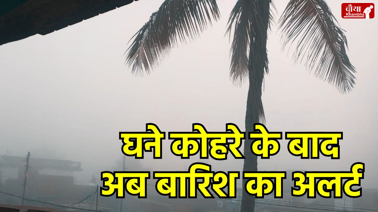 MP Weather Update Today, MP Weather Update, MP Weather, mp news, Fog in Madhya Pradesh, Rain Alert, Bhopal, Gwalior, Jabalpur, Rajgarh, Lowest Temperature, dense fog, Low Visibility, Shahdol, Rewa,