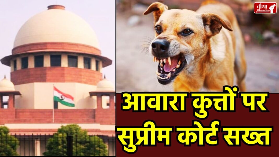 Supreme Court on Stray Dogs, Stray Dog Attacks, Supreme Court, Stray Dogs, Dog Bites, Compensation for Dog Bites, Animal Birth Control Rules 2026, Supreme Court's decision, Street Dog Feeding Rules, Street Dog