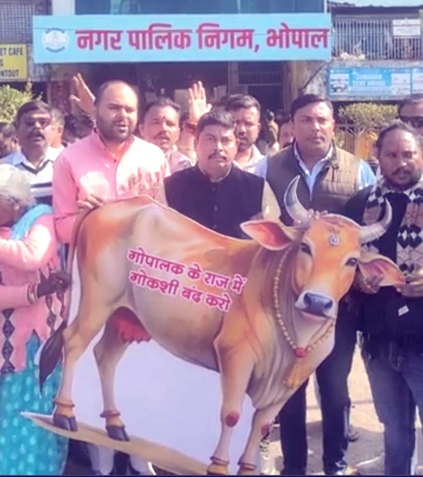 Bhopal Slaughter House case, Bhopal Municipal Corporation, Beef Row, Mayor Malti Rai Resignation Demand, Jinsi Slaughter House, Bhopal, Aslam Qureshi, Bhopal News, Veterinary Doctor Suspended, Madhya Pradesh, Cow Slaughter Protest,
