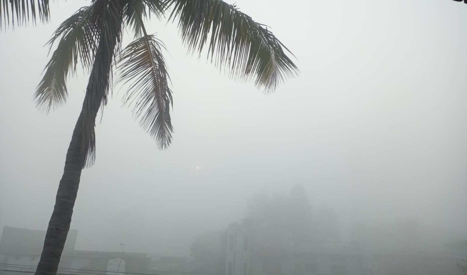 MP Weather Update Today, MP Weather Update, MP Weather, mp news, Fog in Madhya Pradesh, Rain Alert, Bhopal, Gwalior, Jabalpur, Rajgarh, Lowest Temperature, dense fog, Low Visibility, Shahdol, Rewa,
