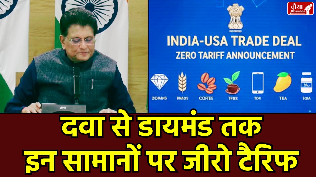Piyush Goyal, Zero Tariff, Business News, India US Trade Deal, Piyush Goyal Press Conference, Zero Tariff Items, India US Interim Trade Agreement 2026, Indian Agriculture Exports to USA, Indian Generic Drugs USA Market, Diamond Export Zero Duty