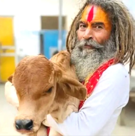 Farsa Wale Baba, Mathura News, Cow Vigilante Chandrashekhar's Death, Mathura Violence, Kosikalan Incident, Stone-pelting on UP Police, Yogi Adityanath, Mathura, Delhi-Agra Highway Blocked, Farsa Wale Baba death, who is Farsa Wale Baba