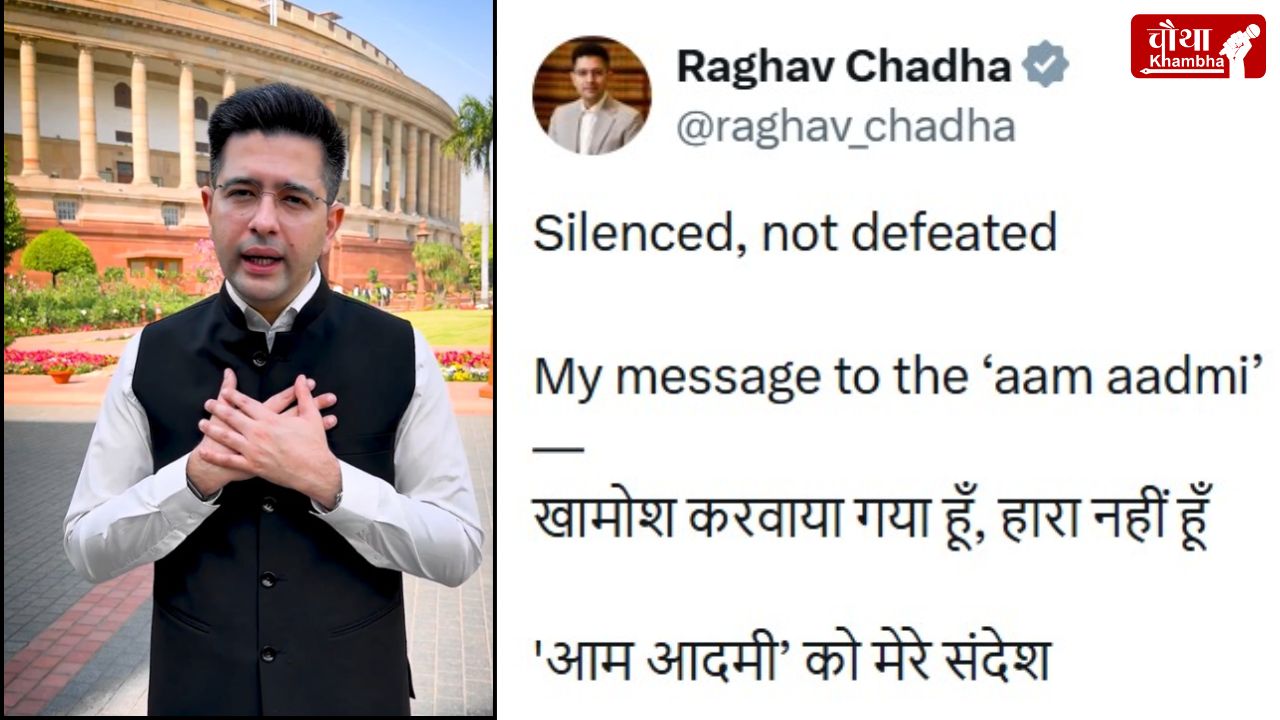 Raghav Chadha news, AAP vs Raghav Chadha, Arvind Kejriwal, Rajya Sabha Deputy Leader, Anurag Dhanda, Saurabh Bhardwaj, Bhagwant Mann, Raghav Chadha response, Aam Aadmi Party controversy, Raghav Chadha removal