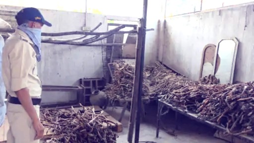 Khandwa News, Identifying Fake Ghee, Animal Fat Factory, Adulterated Ice Cream, Khandwa Police Raid, Anwar Qureshi, Khandwa, How Fake Ghee is Made, MP News